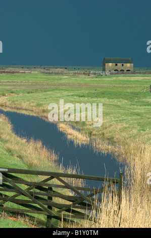 Stürmisches Wetter über Elmley Marshes, Kent, England. Stockfoto