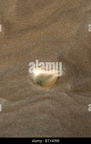 Goldenes Herz geformte Kiesel am Strand von Findhorn, Moray, Schottland Stockfoto