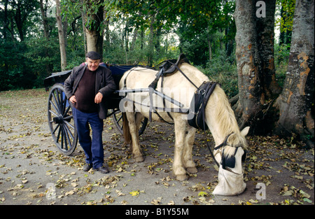 Ross Castle, Seen von Killarney, County Kerry, Irland. Pferd und Fahrer warten auf Fahrgäste. Stockfoto