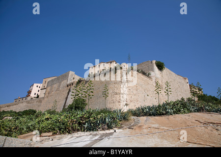 Die Zitadelle in Calvi Stockfoto