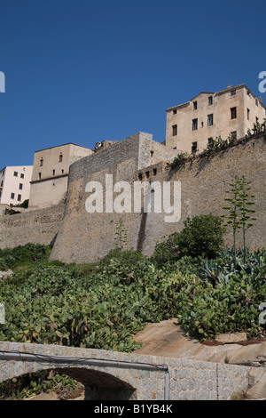 Die Zitadelle in Calvi Stockfoto