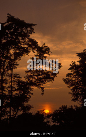 Sonnenuntergang Stockfoto