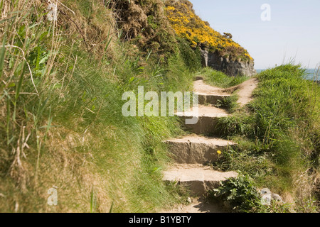 Treppe an der Küste von Wales, Stufen der Kueste von Wales Stockfoto