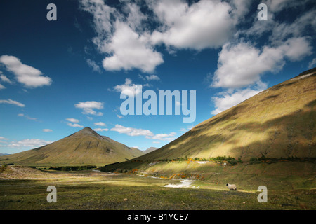 Glen Coe-Gebirge in Schottland Stockfoto