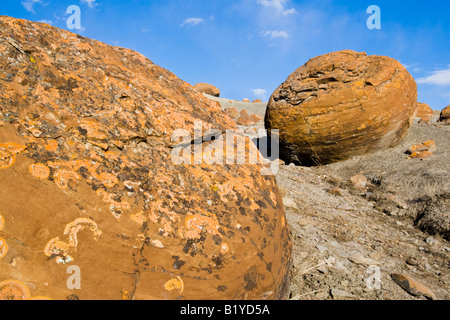 Sandstein-Konkretionen in Red Rock Coulee Naturgebiet, Alberta. Stockfoto