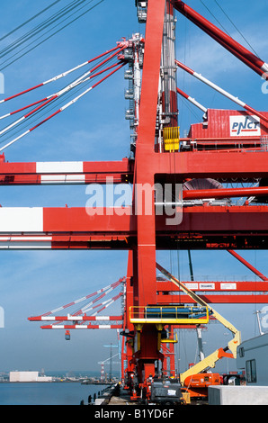 Portalladekrane für den Frachtversand. Hafen oder Hafen Dock, Seeverkehr Anlage. Fracht, Industriehandel, Hafenmole USA Stockfoto