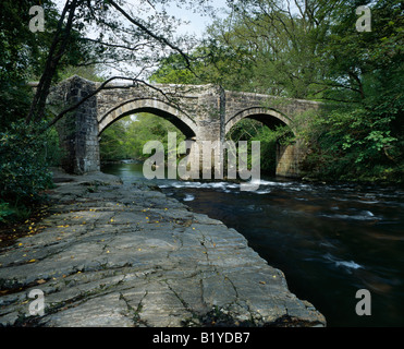 Neue Brücke über den Fluss Dart im Dartmoor Nationalpark, Holne, Devon, England Stockfoto