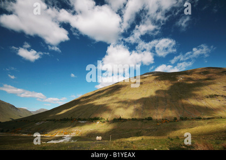 Glen Coe-Gebirge in Schottland Stockfoto