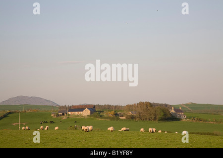 Landschaft, Bauernhof in Wales Stockfoto