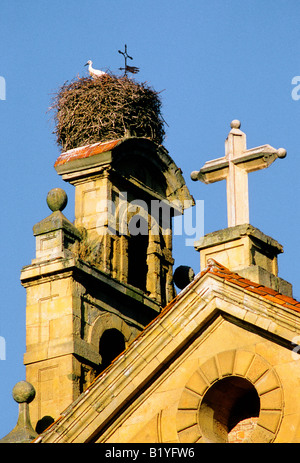 Storch brütet auf einem Kirchengebäude in Spanien. Extremadura Caceres Trujillo Stockfoto