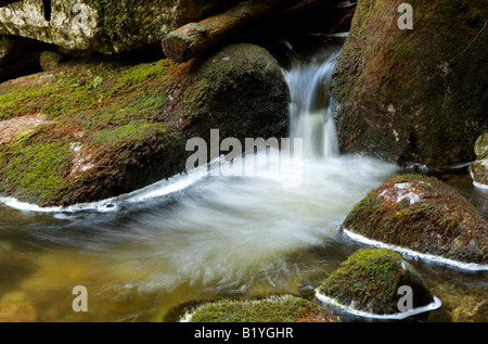 Enge erschossen von einem kleinen Wasserfall in einem üppigen Bach in British Columbia.  Seidig glatte Wasser Stockfoto