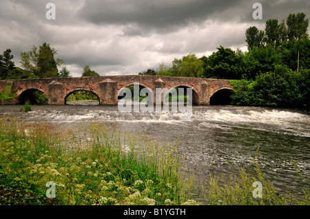Bickleigh Brücke Devon Stockfoto