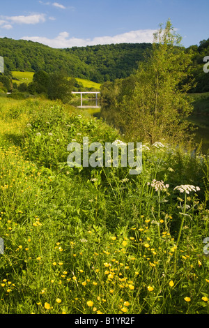 Flussufer-Ansicht der Brockweir Brücke, Fluss Wye Wye Valley. Stockfoto