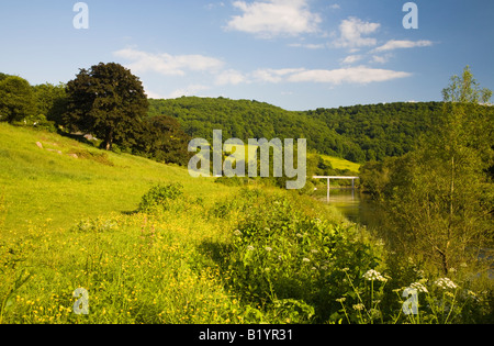 Flussufer-Ansicht der Brockweir Brücke, Fluss Wye Wye Valley. Stockfoto