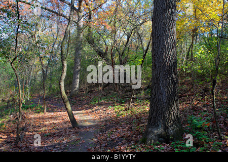 ICE AGE TRAIL ZWISCHEN EASTERLY STRAßE UND KETTLE MORAINE FAHREN IN KETTLE MORAINE STAATSWALD SÜDLICHEN EINHEIT WALWORTH COUNTY WISCON Stockfoto