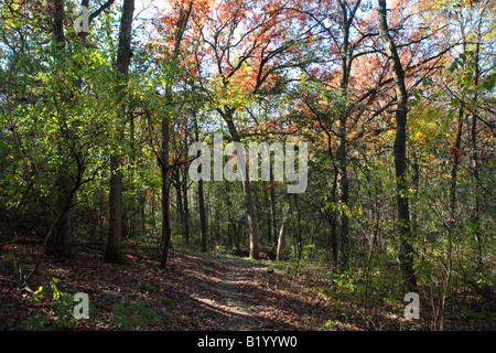 ICE AGE TRAIL ZWISCHEN EASTERLY STRAßE UND KETTLE MORAINE FAHREN IN KETTLE MORAINE STAATSWALD SÜDLICHEN EINHEIT WALWORTH COUNTY WISCON Stockfoto