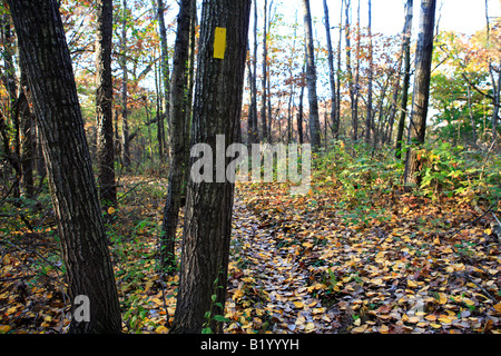 ICE AGE TRAIL ZWISCHEN EASTERLY STRAßE UND KETTLE MORAINE FAHREN IN KETTLE MORAINE STAATSWALD SÜDLICHEN EINHEIT WALWORTH COUNTY WISCON Stockfoto