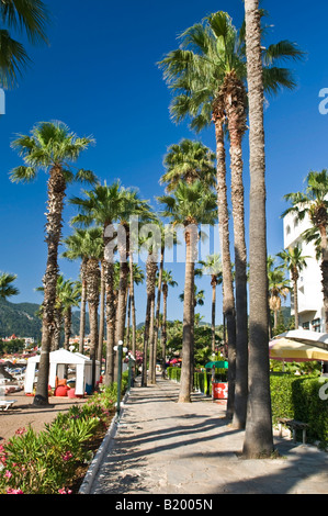 Palmen wachsen neben der Promenade in Icmeler Marmaris Mugla Türkei Stockfoto