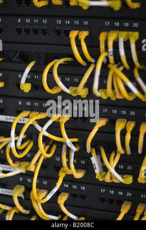 Ethernet-Switches und Kabel Stockfoto