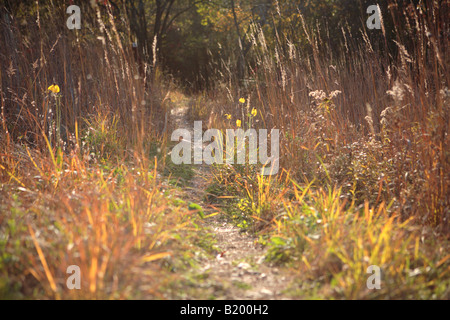 ICE AGE TRAIL ZWISCHEN EASTERLY STRAßE UND KETTLE MORAINE FAHREN IN KETTLE MORAINE STAATSWALD SÜDLICHEN EINHEIT WALWORTH COUNTY WISCON Stockfoto