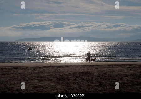 Am frühen Morgen dog Walker auf Mellon Udrigle Strand, Gruinard Bay, Wester Ross, Schottisches Hochland Stockfoto