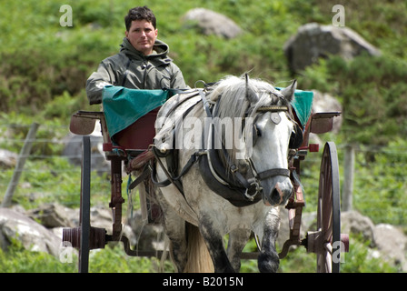 Pferd, Wagen und Fahrer in der Nähe von Gap of Dunloe, County Kerry, Irland. Stockfoto