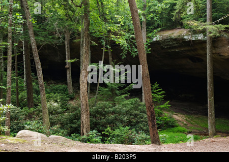 Ratssaal Rock House in Red River Gorge National Geological Area Menifee County Kentucky Stockfoto