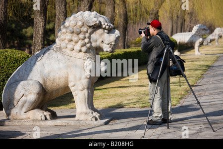 Mann Fotos Stein Statue kauernden Löwen Geist Weg Ming Gräber Beijing Peking China Stockfoto