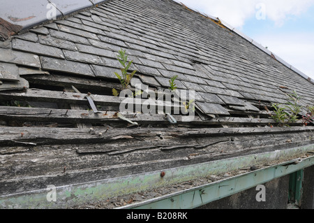 Morsche Dach Stockfoto