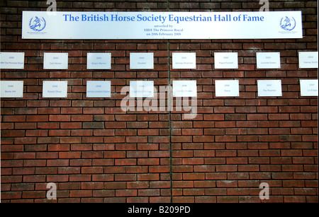 British Horse Society Equestrian Hall des Ruhmes in London Stockfoto