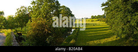 Abend-Sonnenlicht fällt auf Vieh neben dem Fluss Coln in der Nähe von Cotswold Dorf von Quenington, Gloucestershire Stockfoto