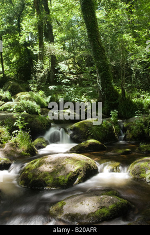 Wald Wasserfall Kaskadierung über Granitfelsen Stockfoto