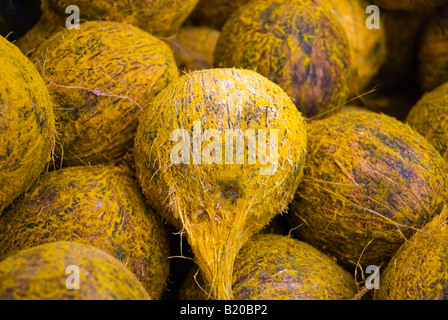 Kokosnüsse auf einem Marktstand in Singapur Stockfoto