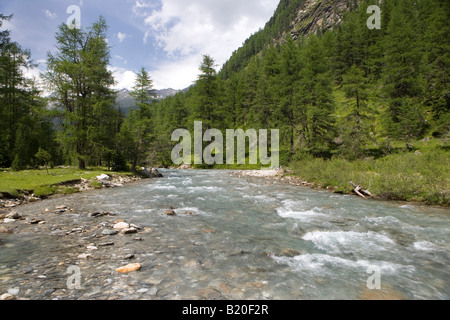 Österreich, Tirol, St. Jakob im Defrregen, dem kleinen Fluss Schwarzach fließt durch das Deferregen Tal Stockfoto