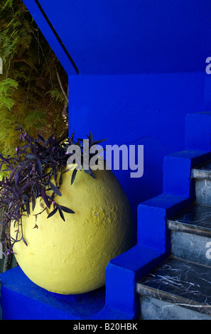 Majorelle gardens,Marrakech.Morocco Stockfoto