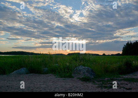 Sonnenuntergang über dem Schilf Stockfoto