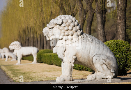 Statue eines ruhenden Löwen Geist Weg Ming Gräber Beijing Peking China Stockfoto