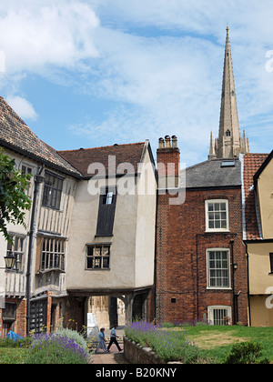 EIN BLICK AUF DIE RÜCKSEITE EINER EIGENSCHAFT, DIE AUF TOMBLAND NORWICH NORFOLK MIT DEM DOM TURM HINTER ENGLAND UK BEFINDET Stockfoto