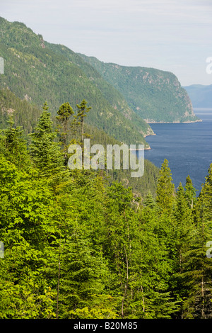 Blick auf den Saguenay Fjord vom Parc du nationalen Saguenay in Anse de Tabatiere. Quebec, Kanada. Saguenay Nationalpark. Stockfoto