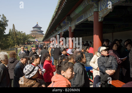 Versammlung in der Ghost Gang im Park der Tempel des Himmels Peking China Stockfoto