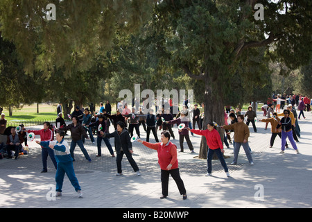 Tai Chi mit Schläger und Ball im Park der Tempel des Himmels Peking China Stockfoto