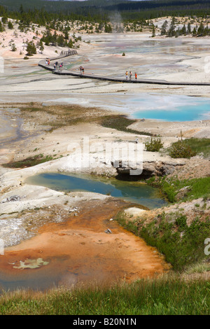 Norris Geyser Basin Yellowstone-Nationalpark Wyoming USA Stockfoto