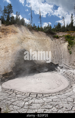 Mud Volcano Yellowstone National Park Stockfoto