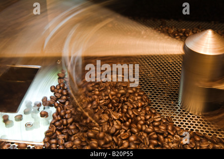 ILLINOIS Riverwoods Rod rühren geröstete Kaffeebohnen zum Abkühlen nach dem Rösten Bewegungsunschärfe Metallarm bewegen Bohnen Stockfoto