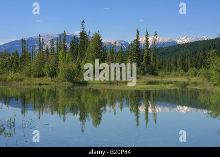 Spiegelungen im See an Golden, British Columbia Stockfoto