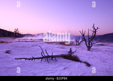 Abenddämmerung am oberen Terrassen Mammoth Hot Springs Yellowstone Nationalpark Wyoming USA Stockfoto