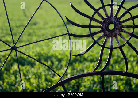 Rad-Zaun an Dahmen Farm Palouse Washington Stockfoto