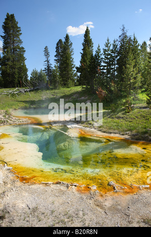 Seismograph Pool West Thumb Geyser Basin Yellowstone-Nationalpark Stockfoto