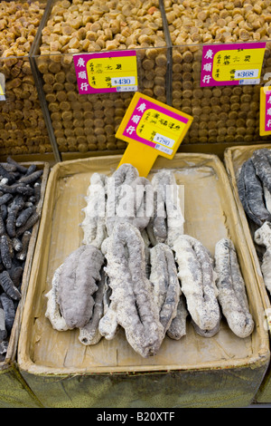 Seegurken und getrockneten Jakobsmuscheln auf Verkauf im Shop in Wing Lok Street Sheung Wan Hongkong China Stockfoto