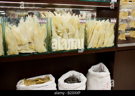 Flossen der Haie auf Verkauf im Shop in Wing Lok Street Sheung Wan Hong Kong China Stockfoto